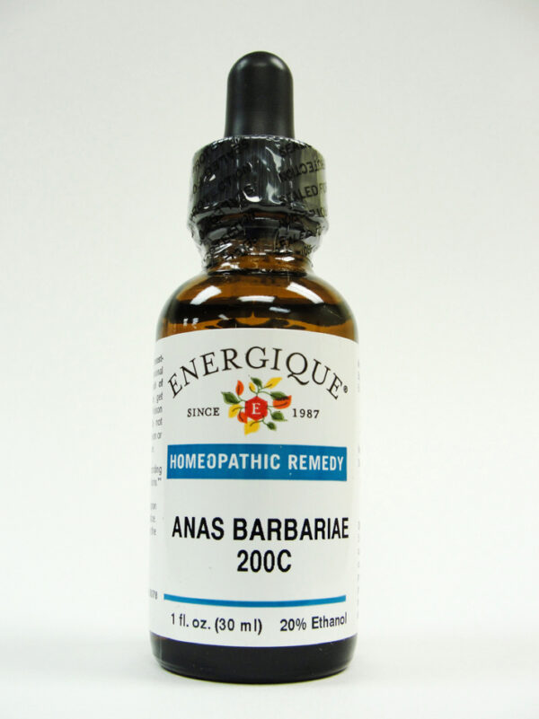 Anas Barbariae from Energique