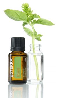 Bottle of Basil oil with beaker and sprig of basil