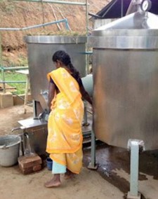 Woman in saree distilling lemongrass esential oil