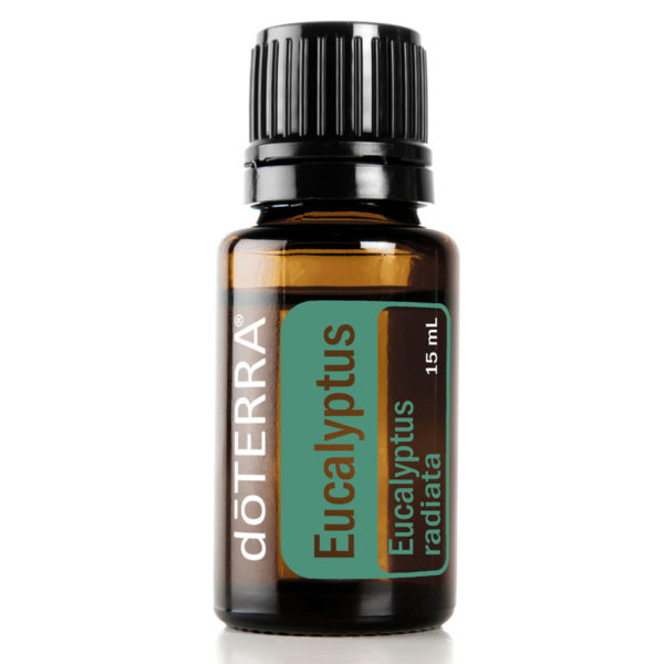 eucalyptus essential oil by doTerra.