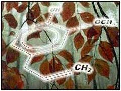 Eugenol molecule with leaves