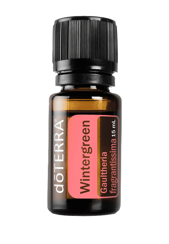 Wintergreen (Nepalese) Essential Oil from doTERRA